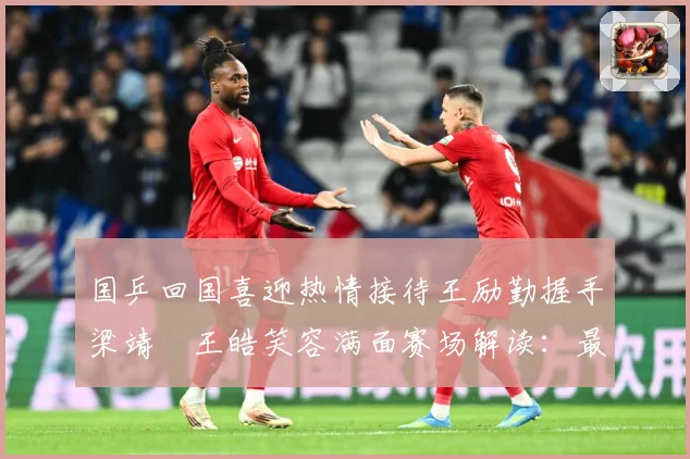 国乒回国喜迎热情接待王励勤握手梁靖崑王皓笑容满面赛场解读：最新赛事动态与深度分析